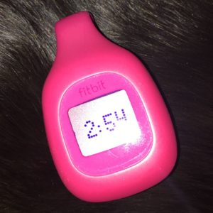 Fitbit Zip (Magenta)