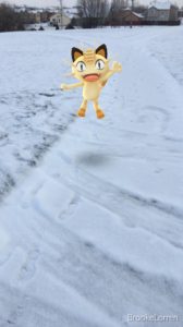 Pokémon Kitty in the snow